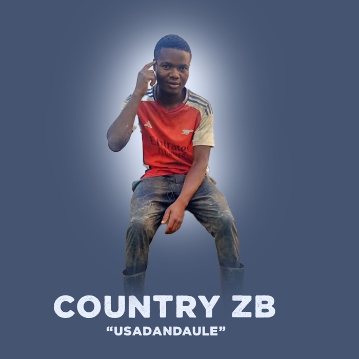 Song Cover